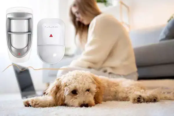 سنسور-وزنی-دزدگیر-اماکن